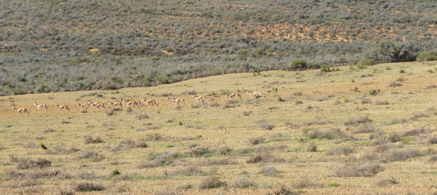  Bedroom Property for Sale in Swellendam Rural Western Cape